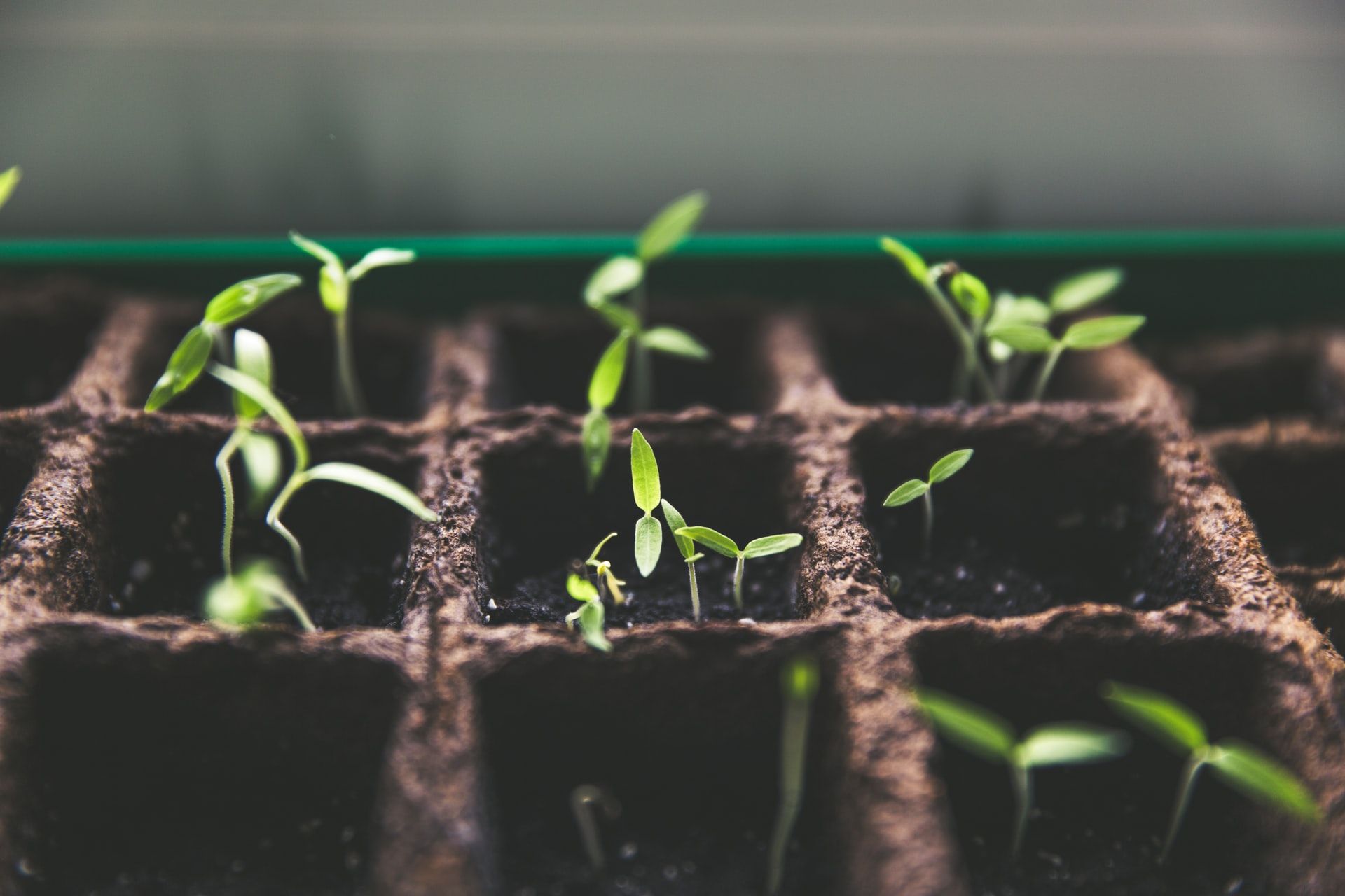 5 Ways To Maximize Your Professional Development