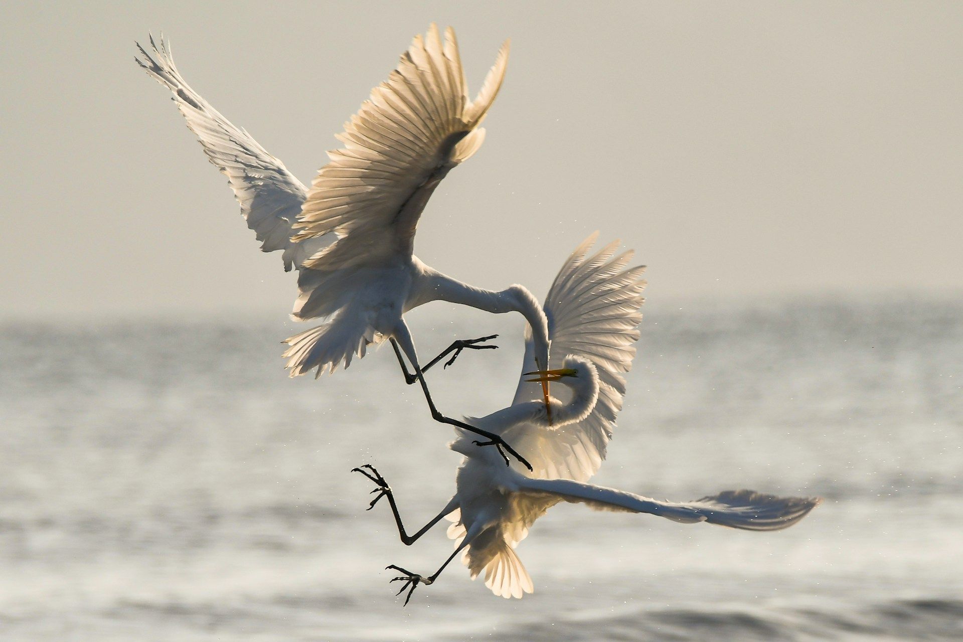 Top Conflict Management Styles and Skills Every Team Leader Should Learn